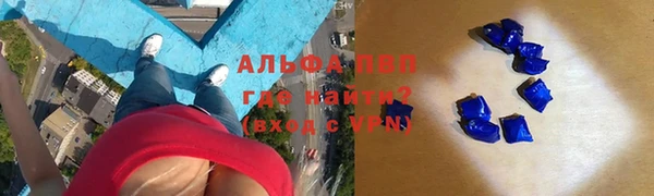 мяу мяу мука Горно-Алтайск